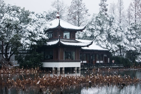 杭州-西湖-曲院风荷-雪韵-雪景 图片素材