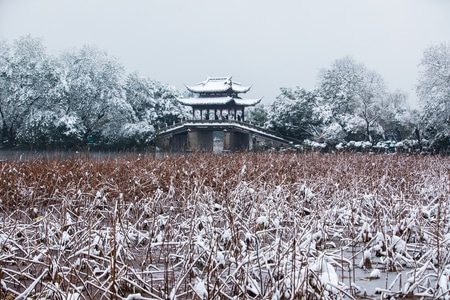 杭州-西湖-曲院风荷-雪韵-雪景 图片素材