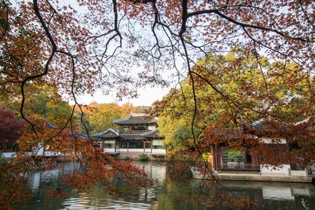 杭州-西湖-曲院风荷-枫叶-红叶 图片素材