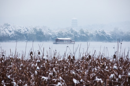 杭州-西湖-雪景-雪霁-花港观鱼 图片素材