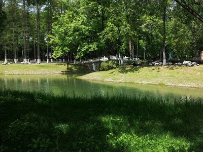 归来-春色-原创-草地-河水 图片素材