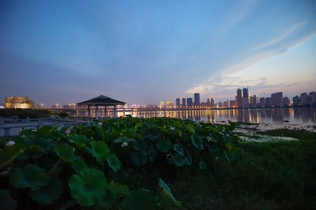 江城-武汉-夜景-风光-生活 图片素材