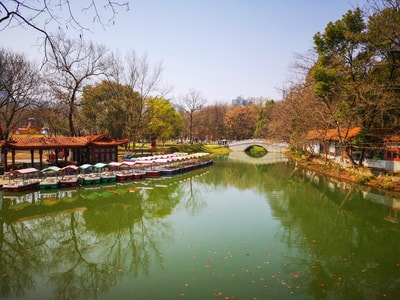 春天-绿水-风景-手机摄影-色彩 图片素材