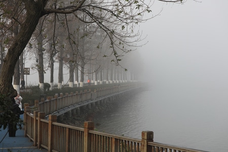 冬雾-绿道-东湖-行摄-原创 图片素材