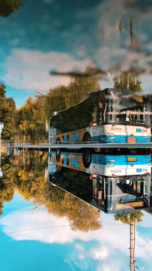 城市-公交车-海滨-湖-公交车 图片素材