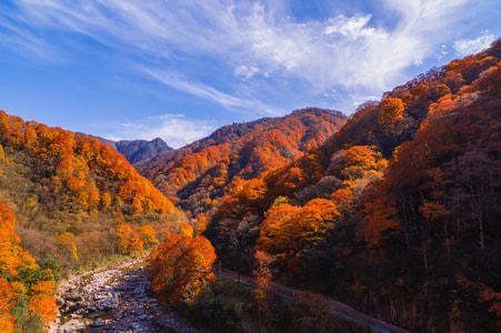 光雾山-红叶-岩石-山峰-树林 图片素材