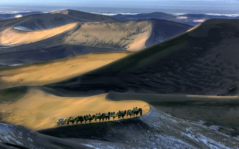 巴丹吉林沙漠-风光-2019-风景-骆驼 图片素材