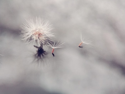 我要上封面-画报-万物-记录美好-艺术底纹 图片素材