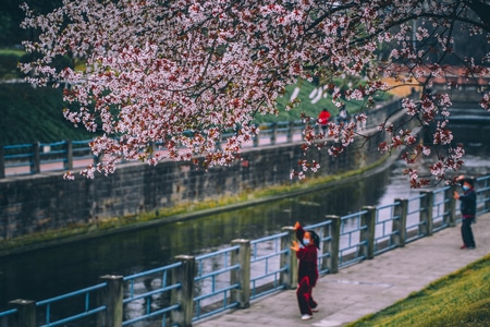 正能量-抗疫-旅游-扫街-中国文化 图片素材