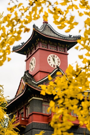 秋天-旅游-四川旅游-风光-灯光 图片素材
