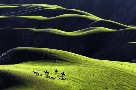 马-新疆-风光-草原-曲线 图片素材