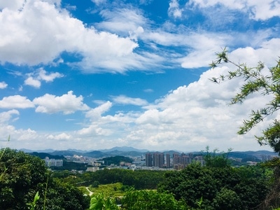 深圳市-夏天-植物-自然-天空 图片素材