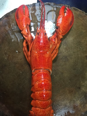 美食-龙虾-美味-烹饪-红色 图片素材