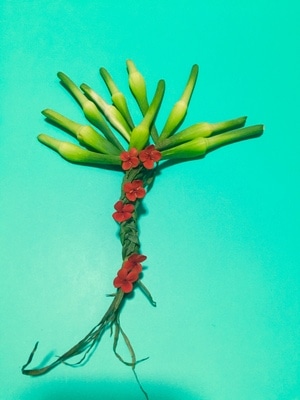 手机摄影-蒜苔-蔬菜-花卉-创意 图片素材