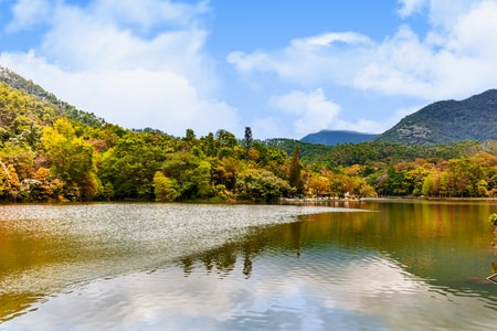 风光-风景-仙湖植物园-仙湖-山水 图片素材