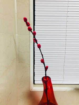 静物-花-花瓶-百叶窗-窗台 图片素材