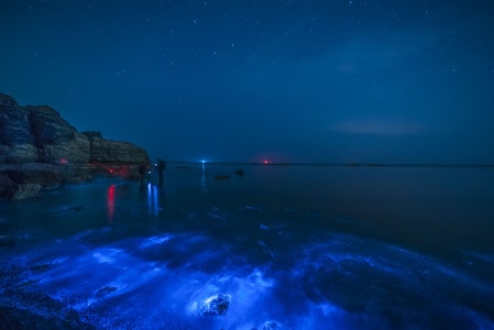 风光-大连-海景-荧光海-慢门拍摄 图片素材