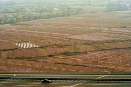 咸阳-街拍-陕西-2020-田野 图片素材