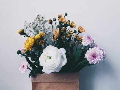 静物-花-植物-花-白花 图片素材