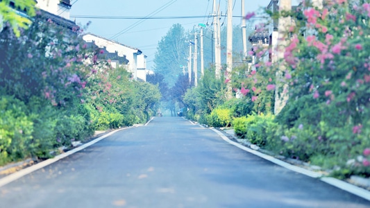 旅行-乡村-道路-街拍-日系风 图片素材