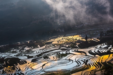 元阳-日出-梯田-旅行-旅游 图片素材