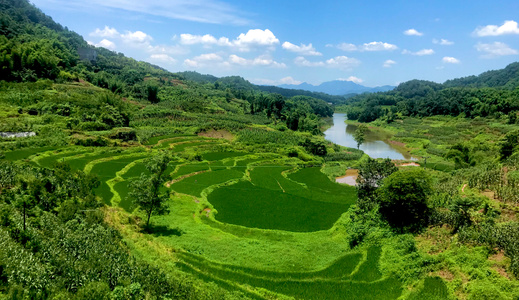 宜宾市-像素蜜峰首发-长宁-田园-蓝天 图片素材