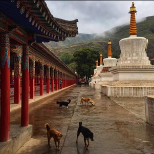 像素蜜蜂官方帐号-旅行-风光-风光主题-摄会主义 图片素材