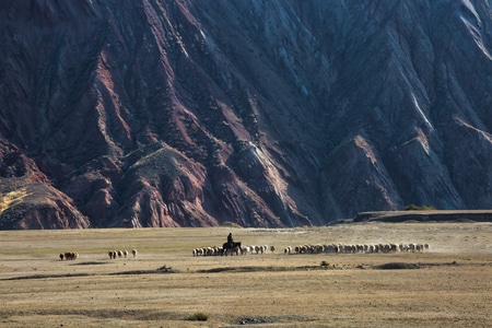 旅行-风景-岩石-新疆-放牧 图片素材