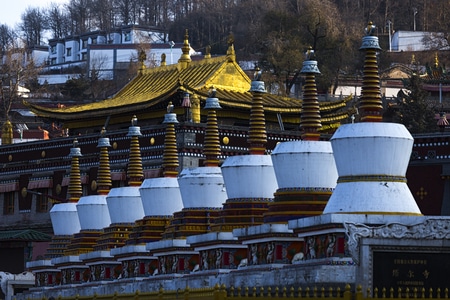 宗教-历史-文化-旅游-旅途 图片素材