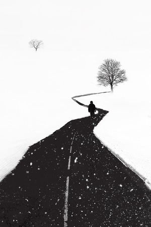 雪-男人的背影-黑白-路-树 图片素材