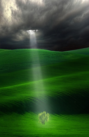 光-草原-一束光-一棵树-在路上 图片素材