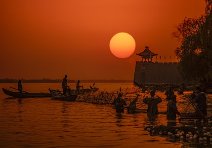 武汉-东湖-起网-渔民-收获 图片素材
