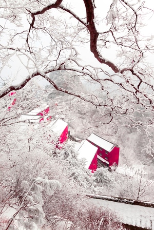 武当山-雪景-红房子-武当-旅游 图片素材