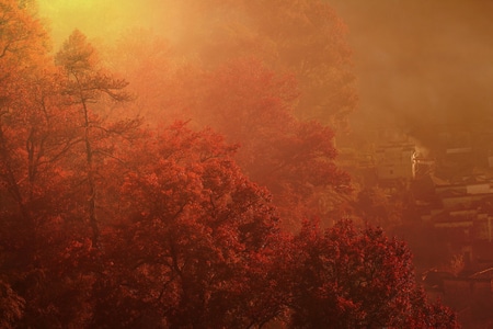 秋色-晨雾-秋天-山峦-森林 图片素材