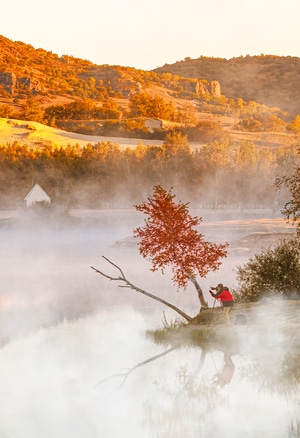 秋天-晨雾-坝上-草原的秋天-仙境 图片素材