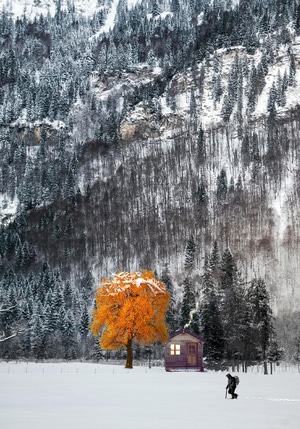 雪-秋色-木屋-雪中木屋-旅游 图片素材