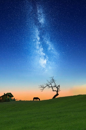 夜空-牧场-星空-郊外-宁静 图片素材