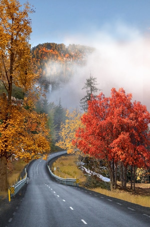 秋天-秋色-公路-在路上-枫叶 图片素材