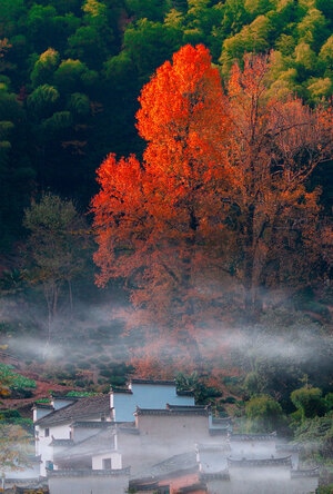 秋色-秋天-山峦-晨雾-薄雾 图片素材