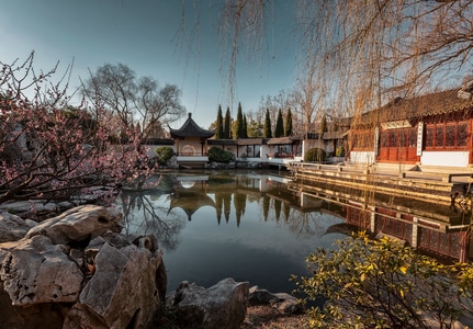 电脑传图-春天-梅花山-红楼艺文苑-池塘 图片素材