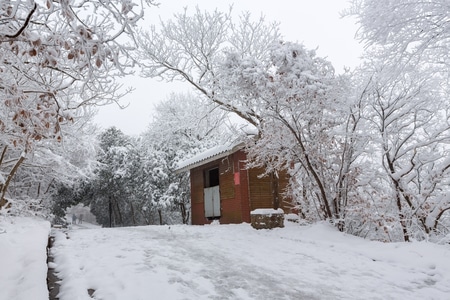 紫金山-冬天-雪-木屋-紫金山雪景 图片素材