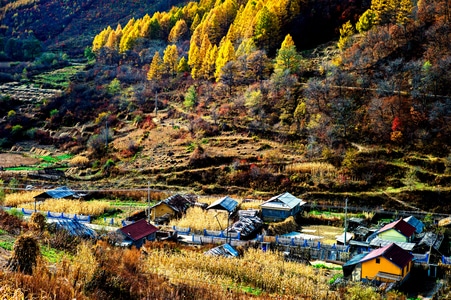 风光-人文-电脑传图-长白风光-原生态景观 图片素材