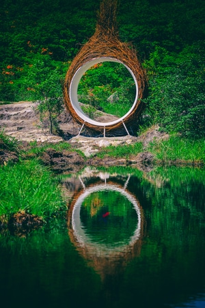 大围山-映山红-杜鹃花-浏阳-湖南 图片素材