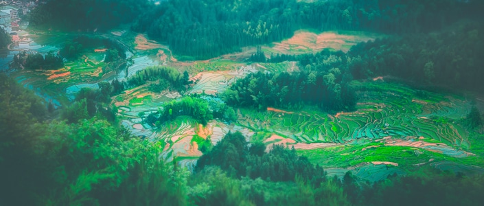 娄底-新化-梯田-湖南-紫鹊界 图片素材