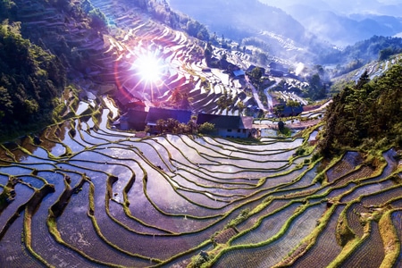 菜刀摄影-紫鹊界-湖南-娄底-梯田 图片素材