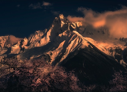 风光-雪山-桃花-西藏-自然 图片素材