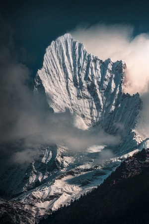 风光-雪山-西藏-秋色-树林 图片素材