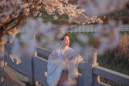 夕阳-女性-树-小清新-高角度 图片素材