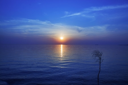 夕阳-日落-蓝调-湖-宁静 图片素材