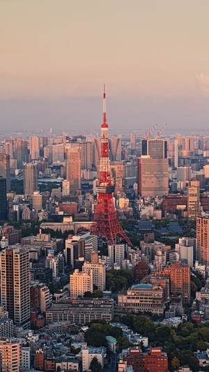 旅游目的地-建筑-户外-高视角-都市风景 图片素材